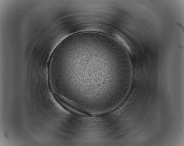 X0000091901092200709121454