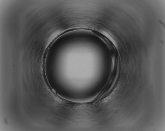 X0000091901093200709121454