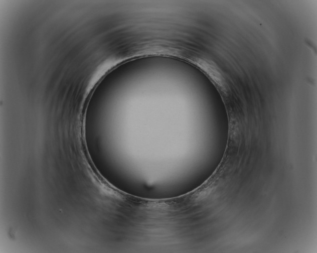 X0000091901094200709121454