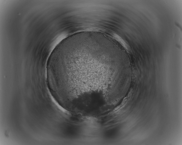 X0000091901095200709121454