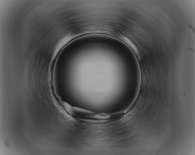 X0000091901096200709121454