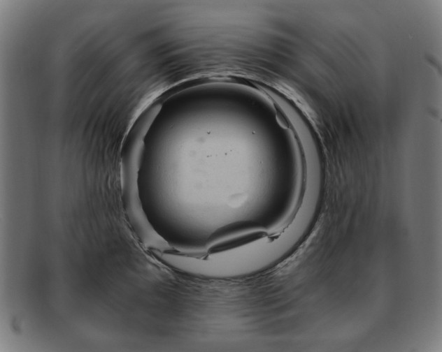 X0000091901097200709121454