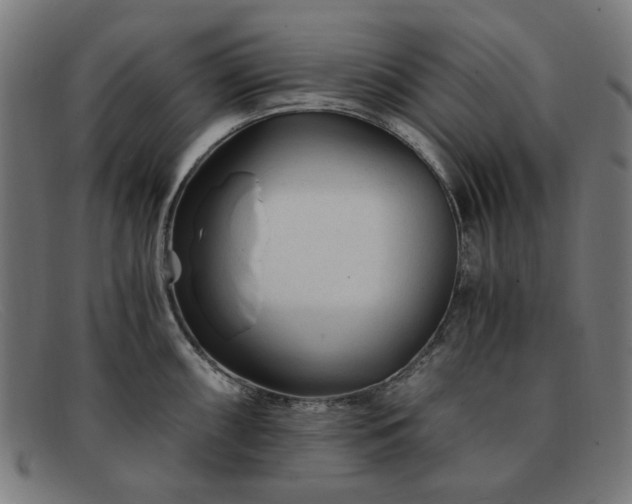 X0000091901098200709121454