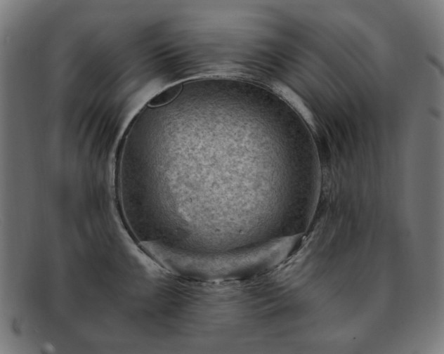 X0000091901099200709121454