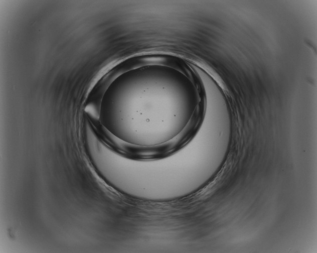 X0000091901101200709121454