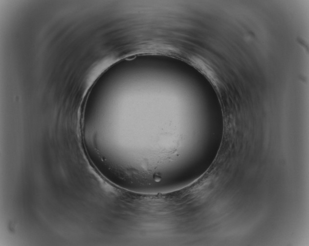 X0000091901103200709121454