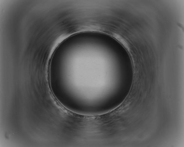 X0000091901104200709121454