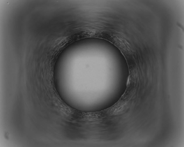 X0000091901105200709121453