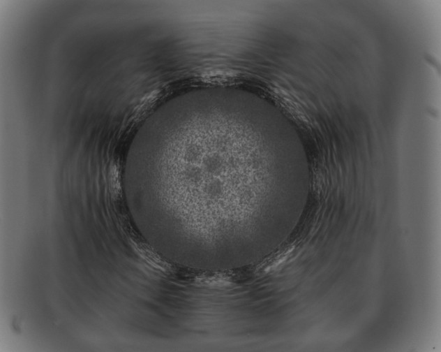 X0000091901106200709121453