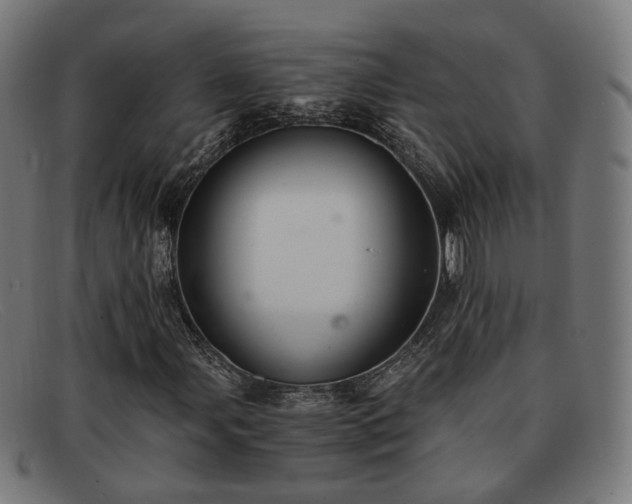 X0000091901107200709121453