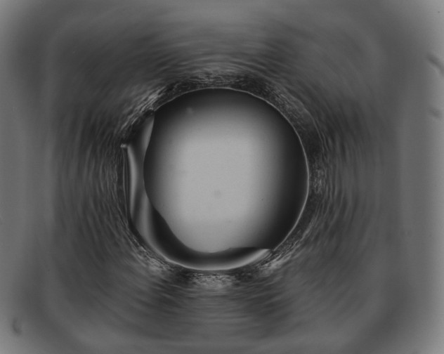 X0000091901108200709121453