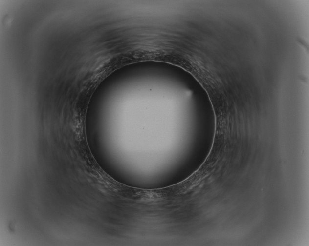 X0000091901109200709121454