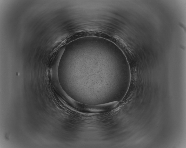 X0000091901110200709121454