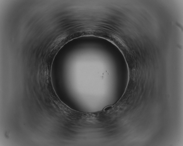 X0000091901111200709121454