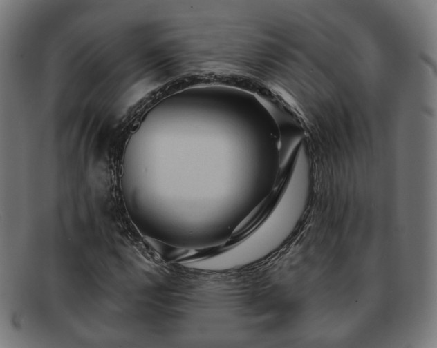 X0000091901112200709121454