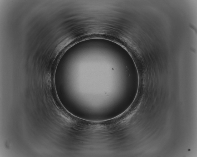 X0000091901113200709121454