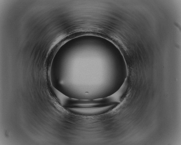 X0000091901114200709121454