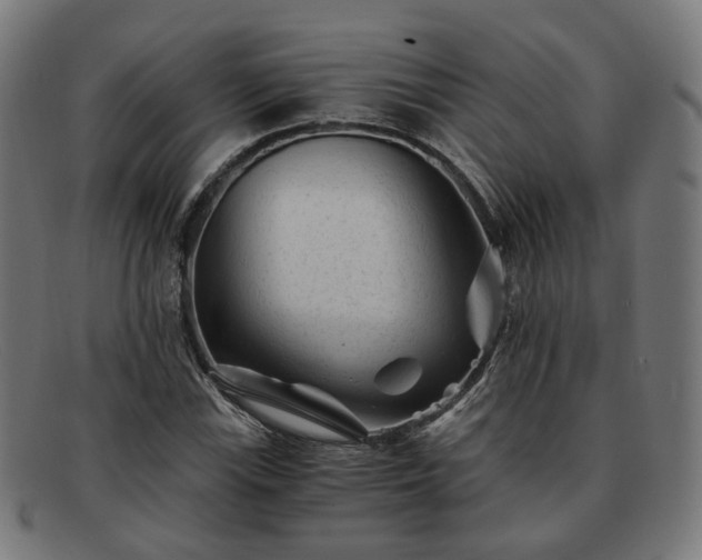 X0000091901115200709121454