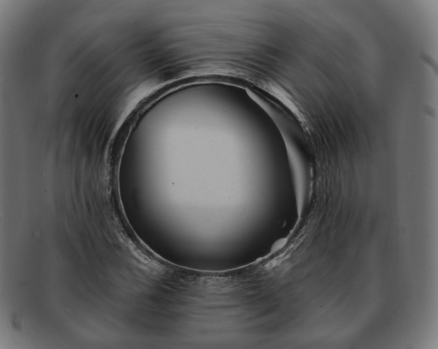 X0000091901116200709121454