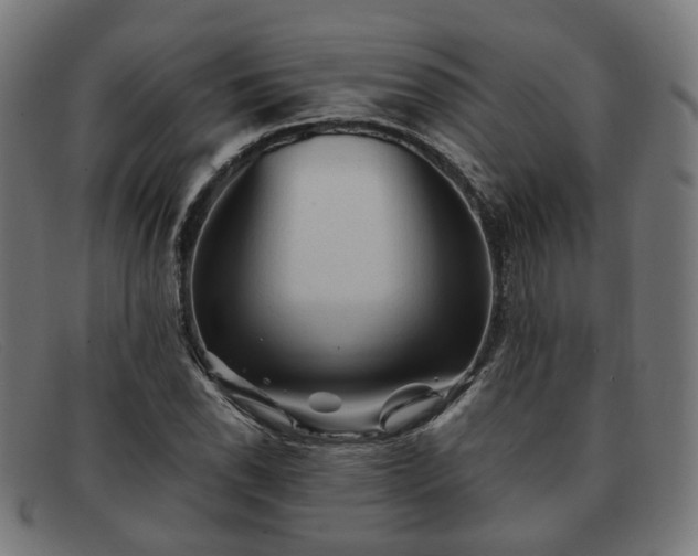 X0000091901118200709121454