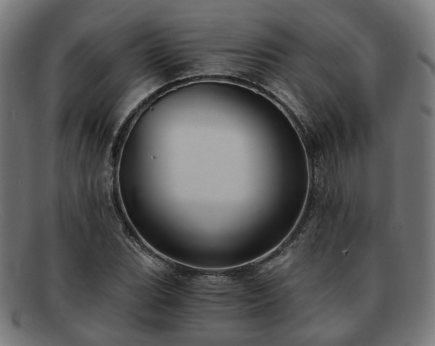 X0000091901119200709121454