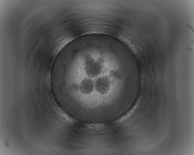 X0000091901121200709121454