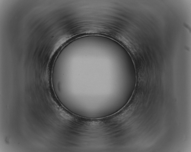 X0000091901122200709121454