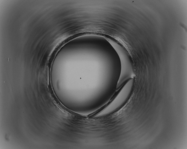 X0000091901123200709121454