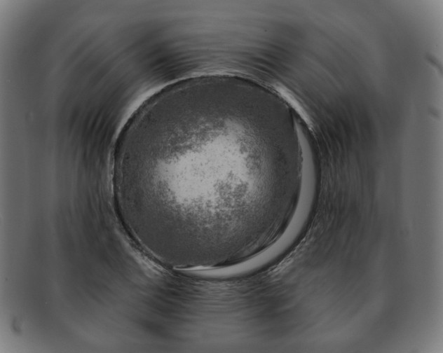 X0000091901124200709121454