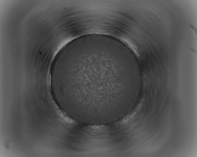 X0000091901125200709121454