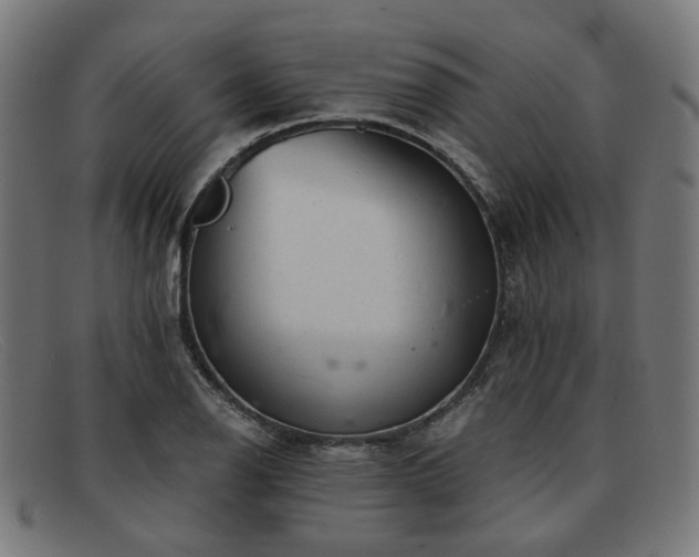 X0000091901126200709121454