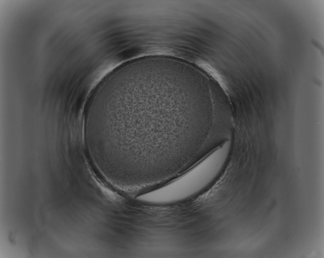 X0000091901127200709121454
