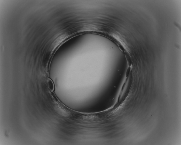 X0000091901129200709121454