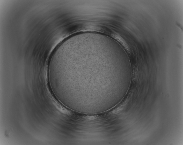 X0000091901130200709121454