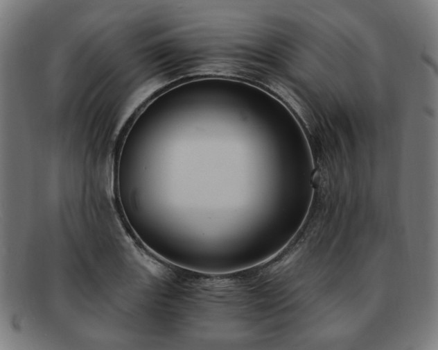 X0000091901131200709121454