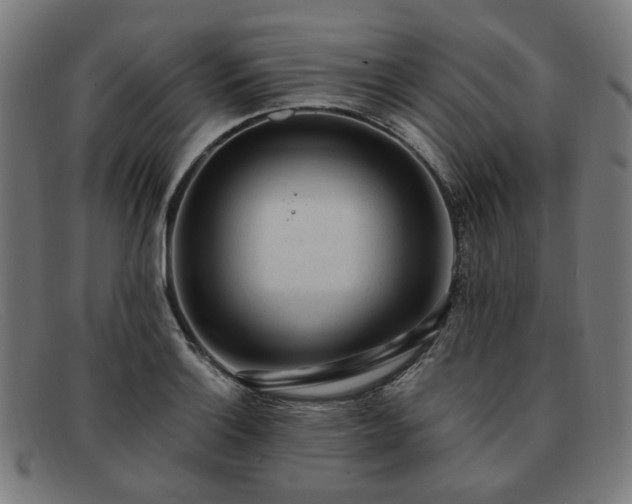 X0000091901132200709121454