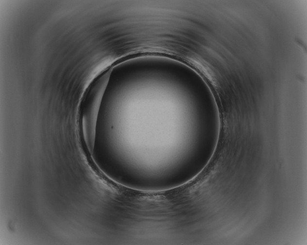 X0000091901133200709121454