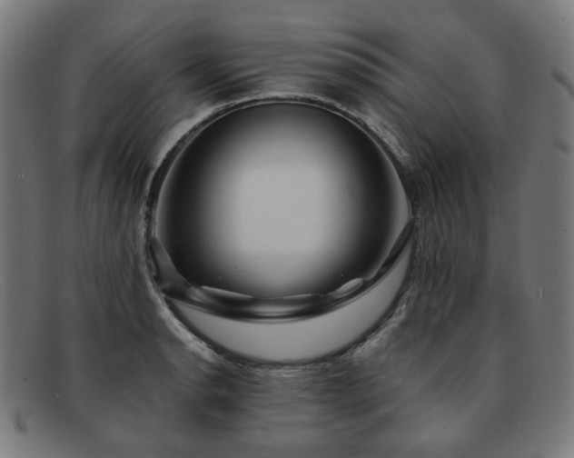 X0000091901134200709121454