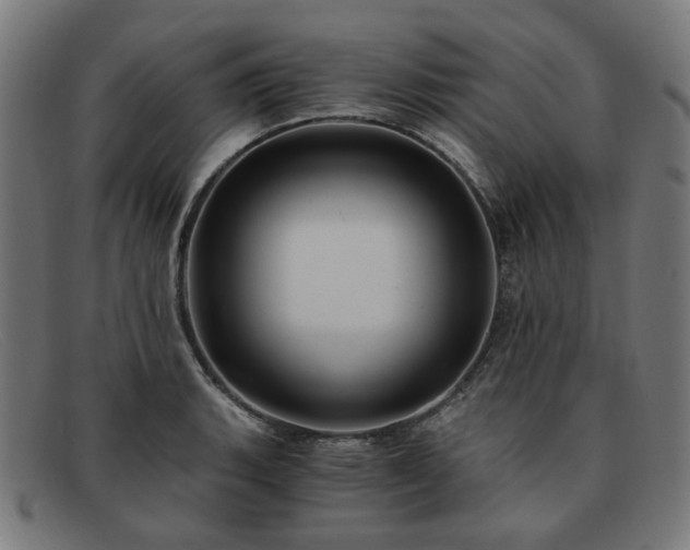 X0000091901135200709121454