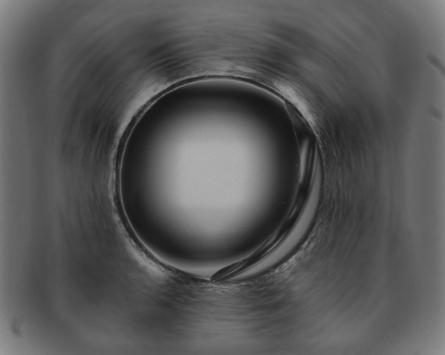 X0000091901136200709121454