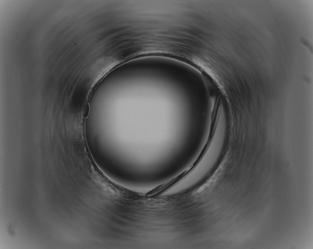 X0000091901137200709121454