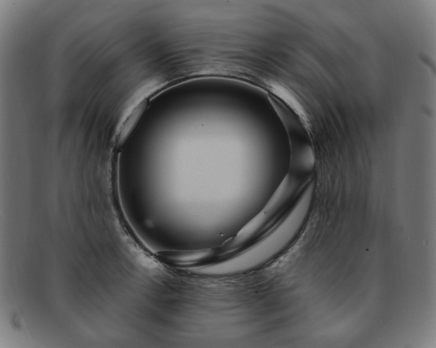 X0000091901138200709121454