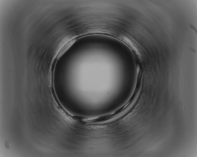 X0000091901140200709121454