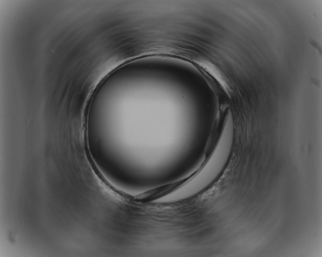 X0000091901143200709121454