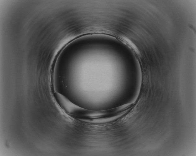 X0000091901144200709121454