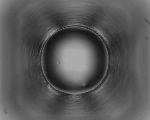 X0000091901145200709121454