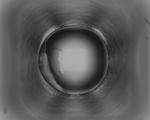 X0000091901146200709121454