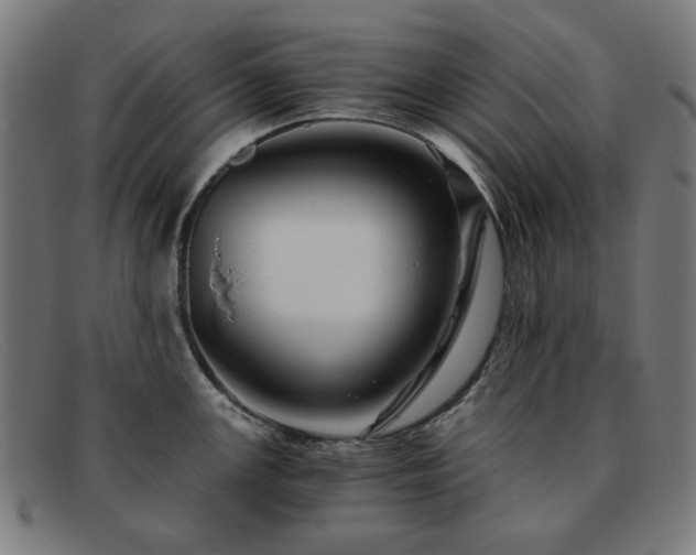 X0000091901147200709121454