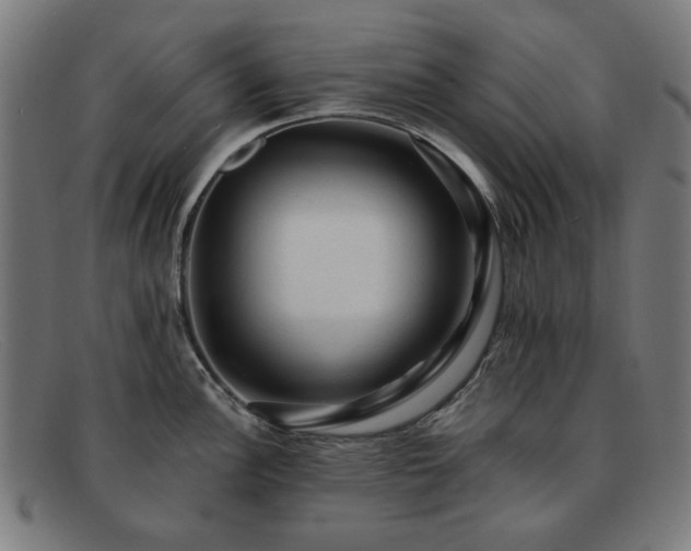 X0000091901148200709121454