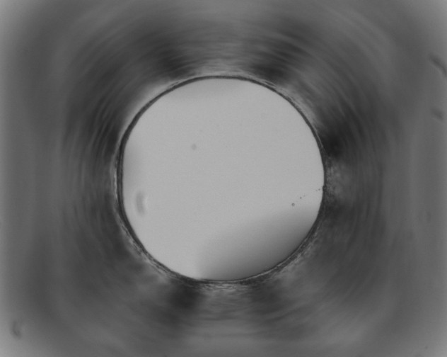 X0000091901150200709121454